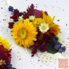 The Sunny Ones – Dried Flower Bracelets