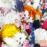 Évasion Tropicale – Bouquet de mariée en fleurs séchées multicolores