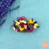 Le crépuscule - Golden flowered comb
